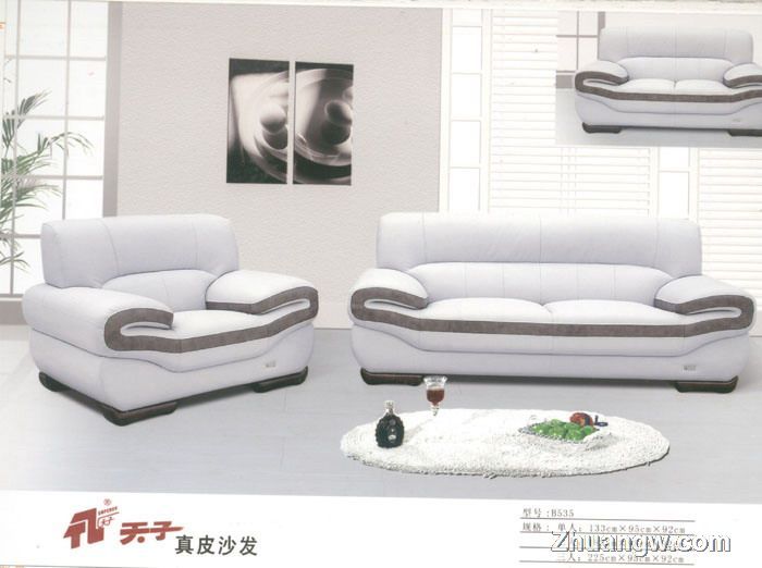 天子沙發(fā)家具圖片(九) 匠心工藝，盡顯客廳典雅風(fēng)范